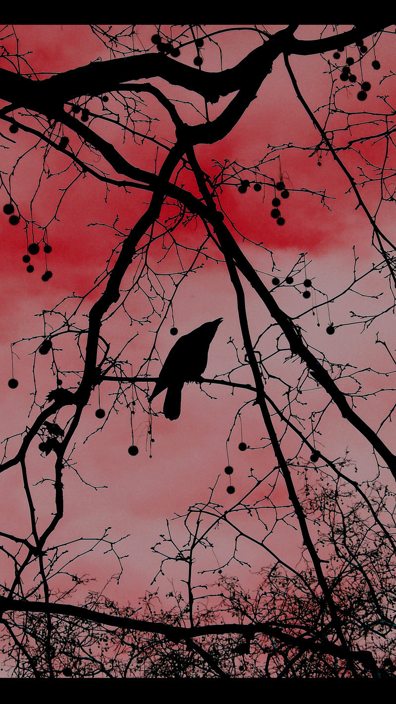 jaredthedead:  &lt; crow &gt; InterditMoi 