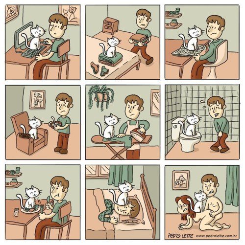 pelandobananas:  ¡Cuanta compañía hace un gato! 