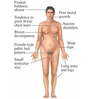 Adults with asperger syndrome