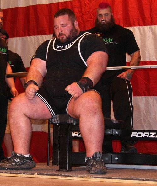 bearosuno21:  monkeykingcub41:  future Husbear  Gorgeous Brandon Braner. El hermOSO Brandon Braner. 