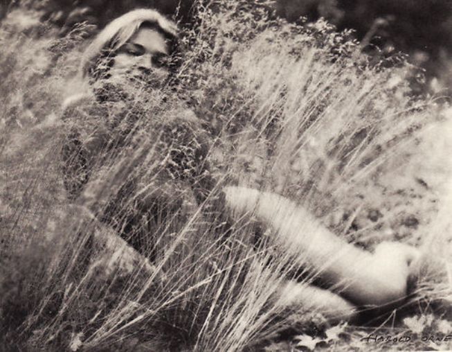  Harold Orne - Nu dans l’herbe, 1933 