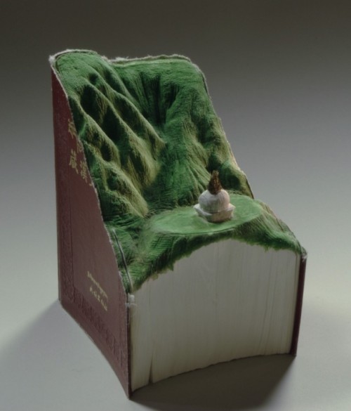 fer1972:New Carved Books by Guy Laramee via thisiscolossal