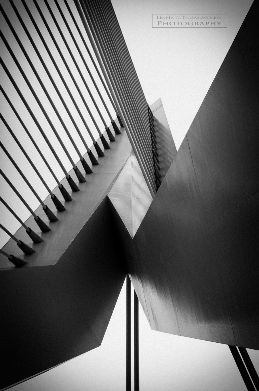 de-stijll:  Leapintotheboundless Photography - Diamond Harp. 