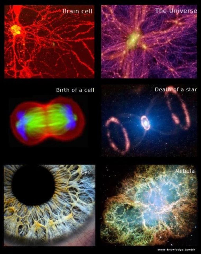9ether-vibrations:  mystery solved.