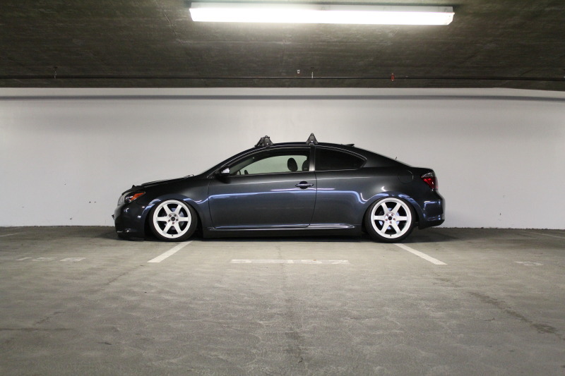 sciontist