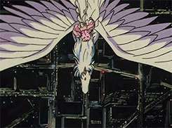 lemedy:  “You know, Pegasus, do you believe in fate? Do you believe in destined
