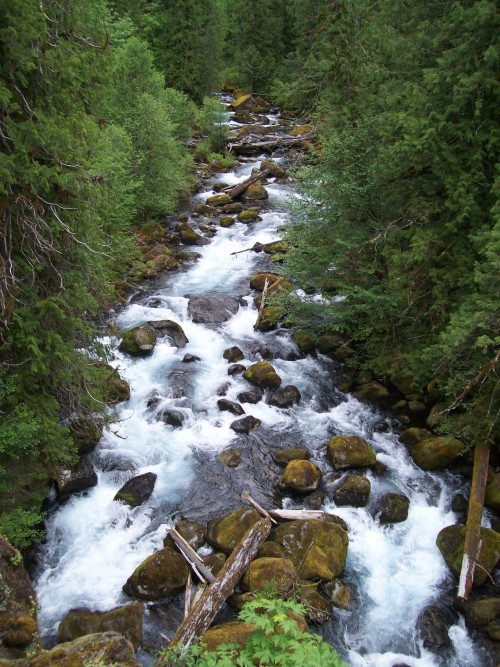 My favorite pictures from my hike last weekend. Sahalie Falls Koosah Falls McKenzie River (rapids) T