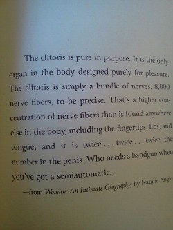 did you guys know that the tip of the clitoris that you see, is just that &ndash; the tip? there&rsquo;s a whole structure inside, shaped like a wishbone. it wraps around the vagina, and when a girl is excited, the ends &ldquo;stand up&rdquo; (they lift