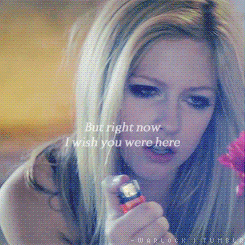 aruxxh:  Damn, damn, damn 