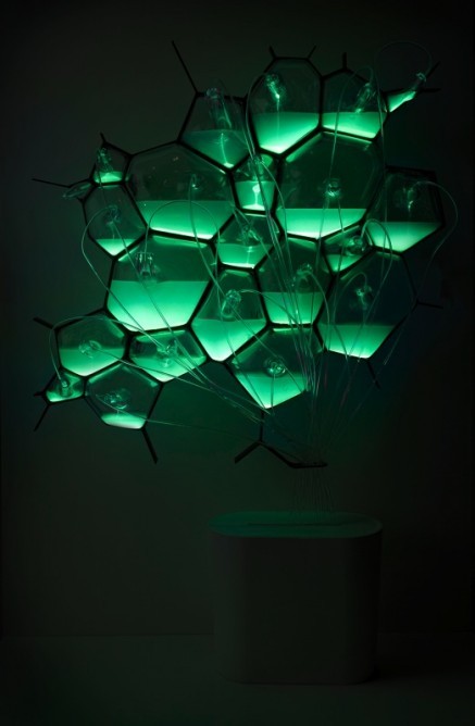 sciencesoup:  Bioluminescent bacteria  Taking cues from the firefly, a Dutch electronics