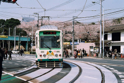 sanctalilium:  2010.TOKYO (by lydia618) 
