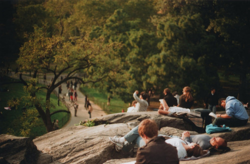xenium:  (by Sid Black)