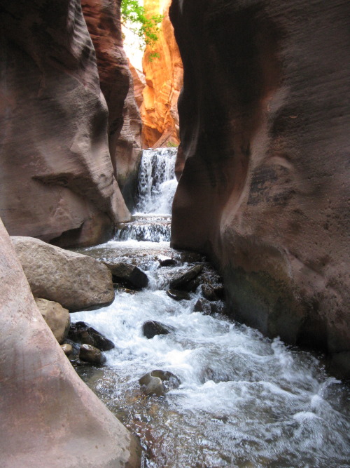 Porn Pics americasgreatoutdoors:  Here is another stunning