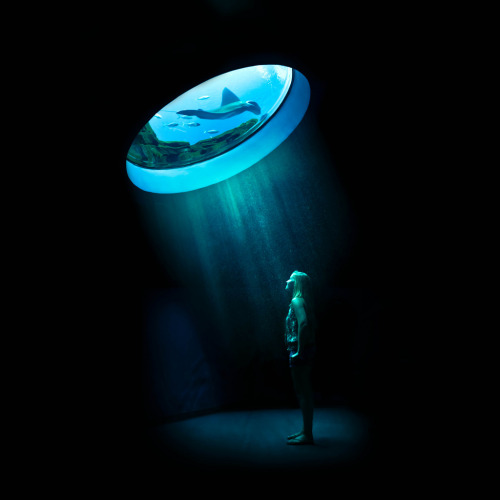 embraceexpression:  Looking glass. .191.365 Went to the aquarium yesterday cause I’ve had this
