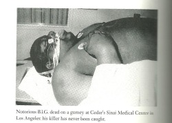 immxrtal:  christmas-in-crooklyn:  hip-hop-lifestyle:  forever reblog.  Saddest sight ever seen in history.  R.I.P 