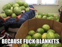 collegehumor:  Guy Covered in Watermelons That blanket looks sweet. 