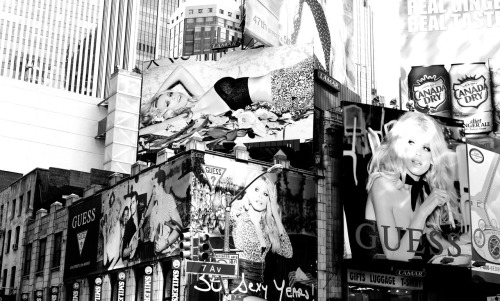 photosbysoph - Halcyon Progression