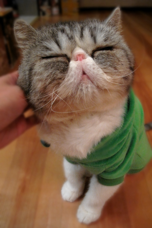 everywayallday:  oh my fucking god.that face:))