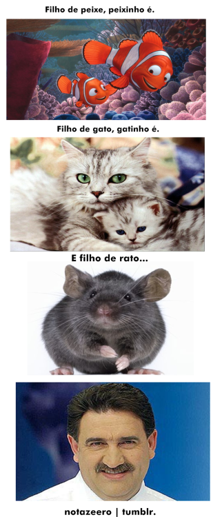 Cogumelos Delirantes