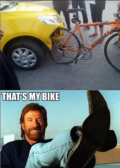 most-awkward-moments:  if you’re human or cat, you’re gonna love this blog.