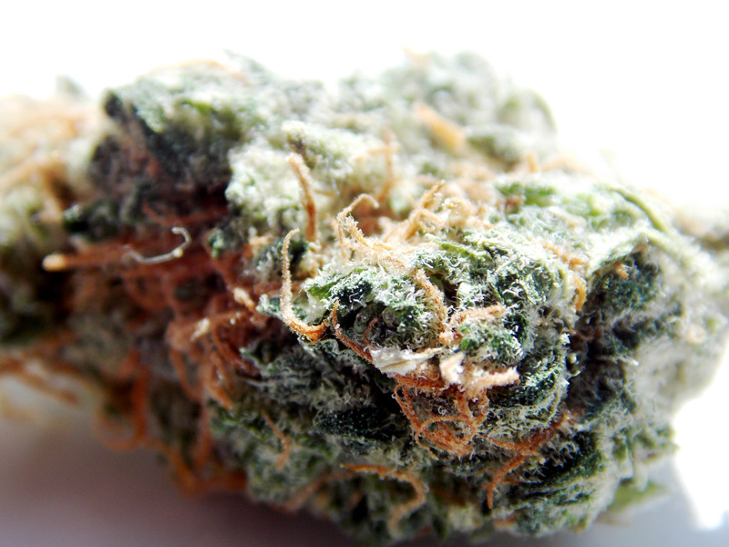 eye tokes are jokes