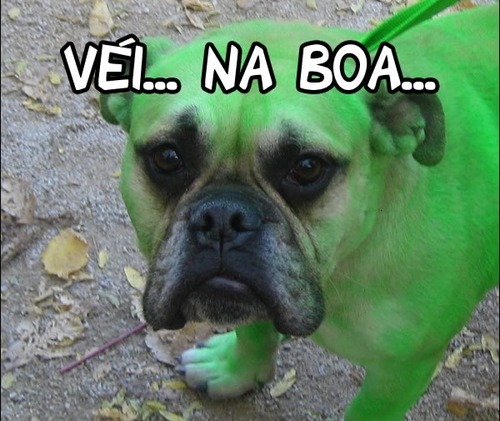 cosplay mega épico do hulk