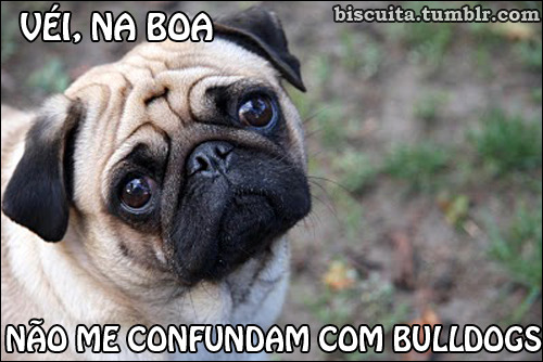 Biscoitinhos da Vovó