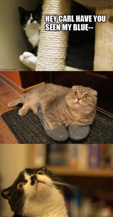 jaderawrsaturface:  yup, found this somewhere on google… :D 