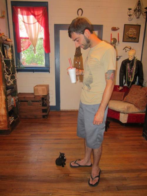 jnintendonut1: shamanjuice: Friend rescued a cat, now it won’t leave his side… - Imgur 