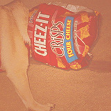 erinlinds:  Animals + Cheez-Its 