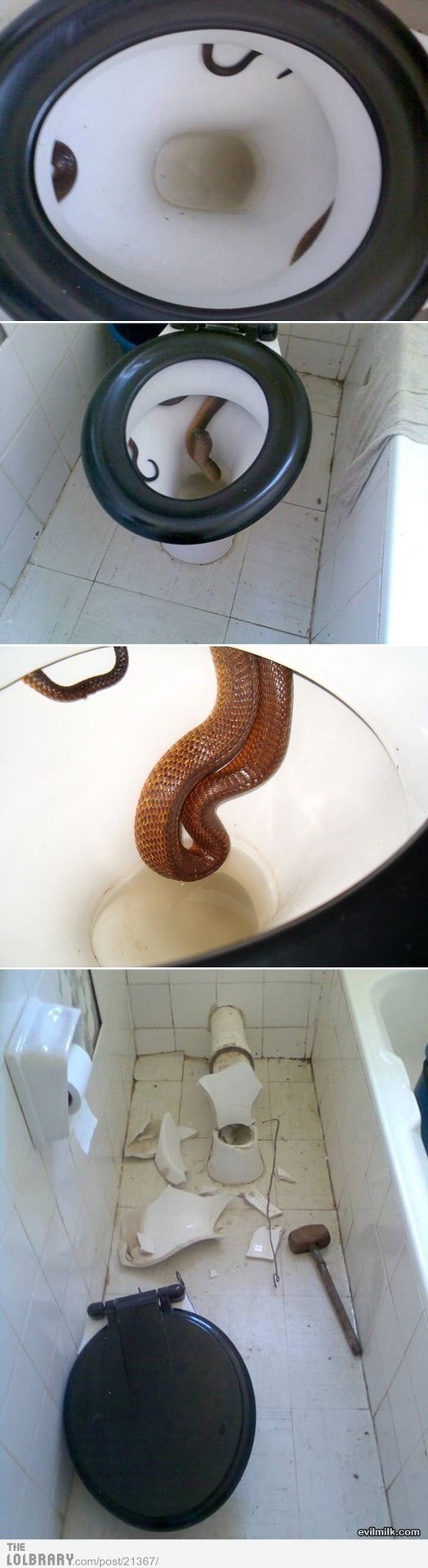 uraffuroose:  Never Pooping Again Follow this blog for the best new funny pictures