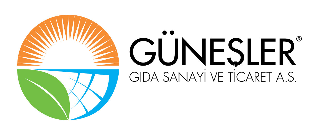 Güneşler Logo Çalışması