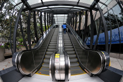 tayfaye:  taco-b3ll:  i was afraid of escalators