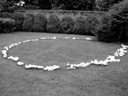 sc4rymmary:  A fairy ring is a naturally occurring ring of mushrooms. They are also known as pixie’s rings, faerie circles, or elf circles. The English believed that fairy rings were where fairies came to dance and celebrate, the mushrooms of the