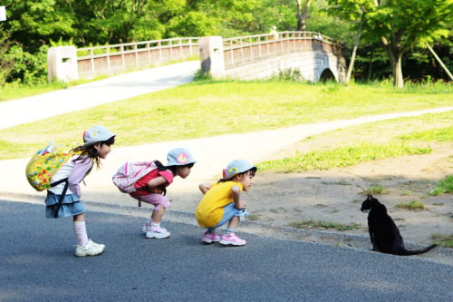 mcsgsym:  PHOTOHITO: 