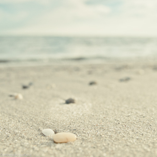 Walk On The Beach...