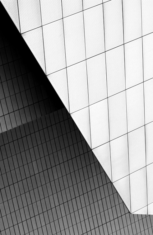 fiore-rosso:  einsilbig | facade. 