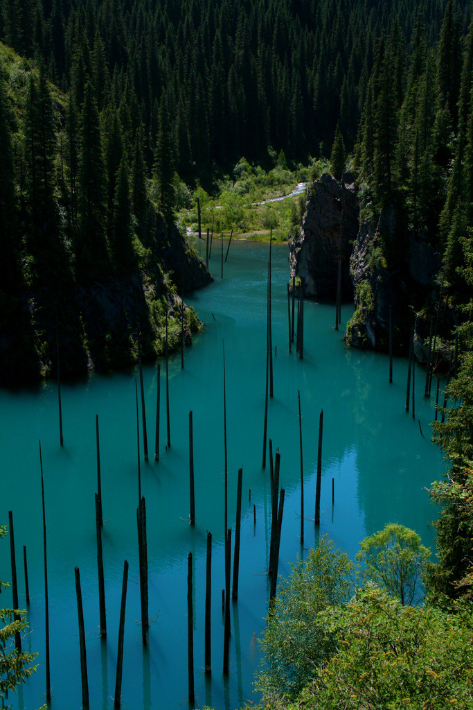 fornicating:  Kaindy Lake 