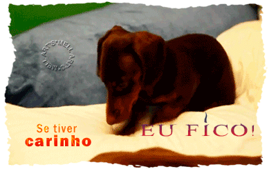 Nada Além de Palavras