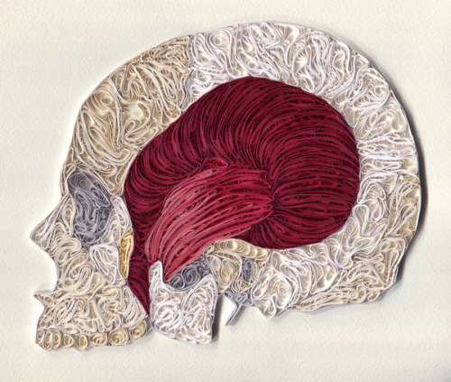 devidsketchbook: Quilled Paper Anatomy by Sarah Yakawonis You can see more of her work (and buy