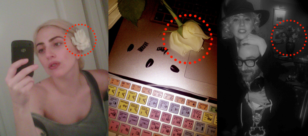 h0okerwhore:  you know she is sneaky. white roses…?