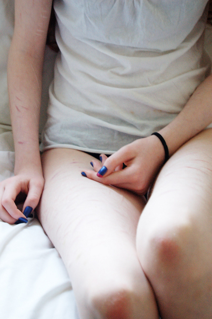 drowsybears:  Bonny bambi (by Ms Imogen) 