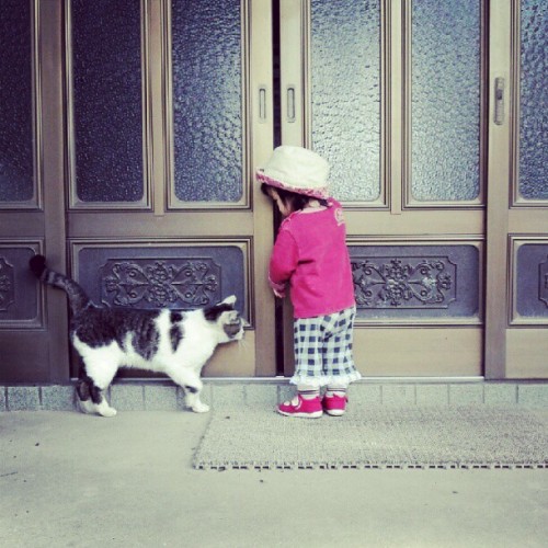 ryusoul:nakamagome2:玄関開けてくれる？ #cat (Instagramで撮影)(via Beelog)