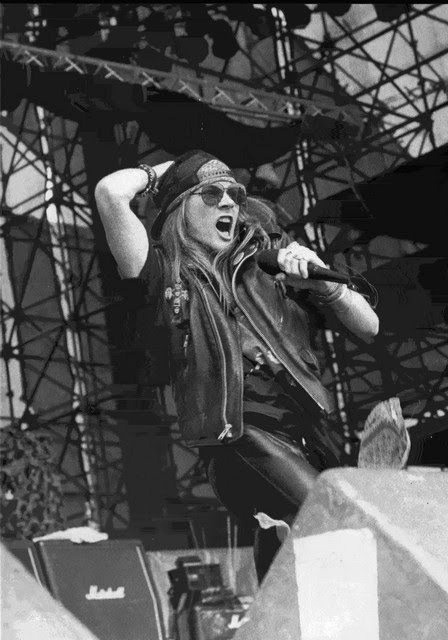 Pulse Of The Maggots