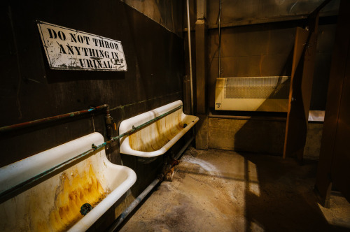toiletliqr:  Screams GET WEIRD in here!! The geek pig in me is already planing my approach on those urinals!