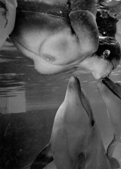 sensualisfigurae:  Converted to B&amp;W from http://nakedunderwater.tumblr.com/post/25026025978 