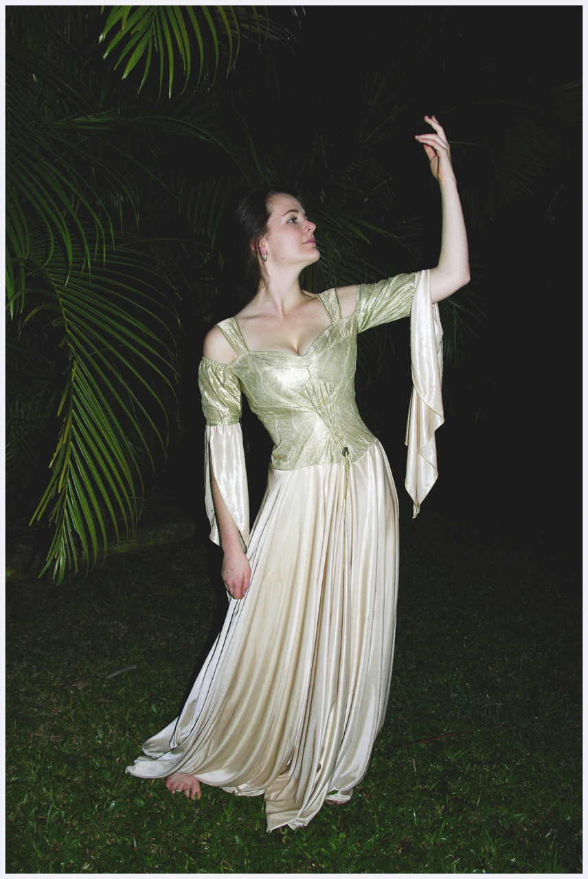 medieval princess dress real medieval princess dress real