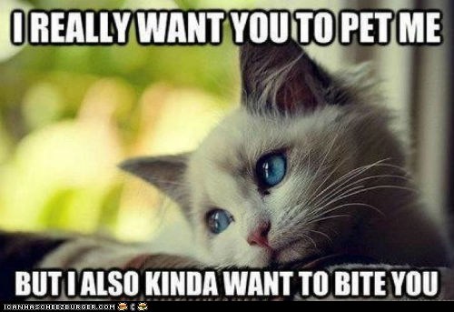 nudityandnerdery:  First World Cat Problems I know people who face the same dilemma.
