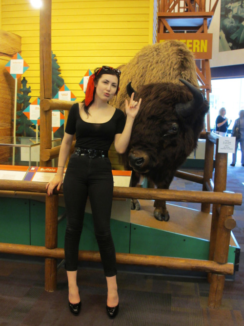 where the bison roam…  In Winnipeg for a few days… vintage scoring and funeral attendi