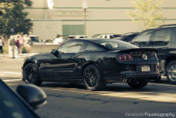 wellisnthatnice:  Shelby by JSFauxtaugraphy